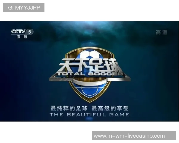 天下足球2带你领略全球足球盛宴尽享激情与荣耀的赛场之旅 天下足球2带你领略全球足球盛宴尽享激情与荣耀的赛场之旅