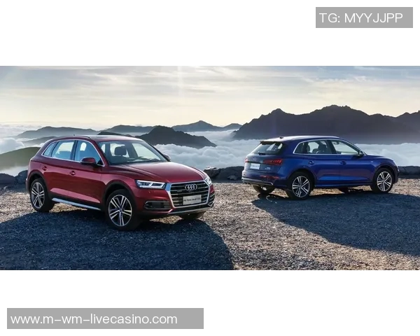 足球竞猜网站新手指南如何选择靠谱平台与投注技巧分享