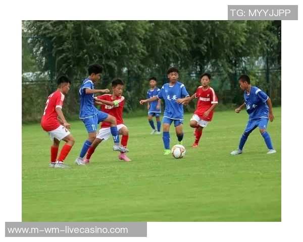 中国足球视频直播全攻略精彩赛事不容错过尽享激情与乐趣